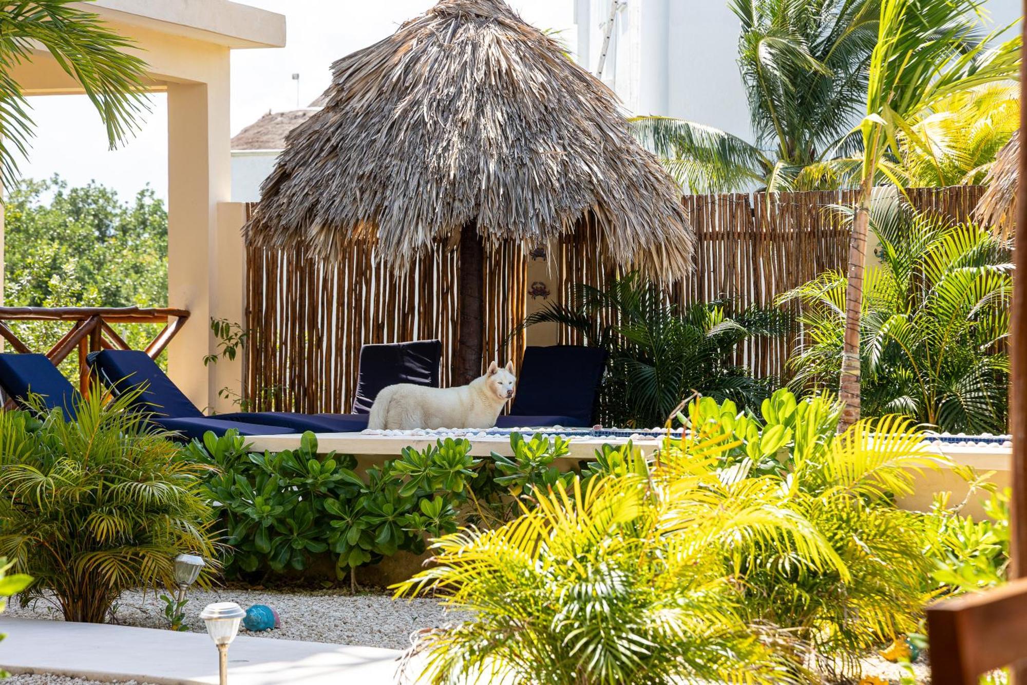 Atenea Holbox Bagian luar foto