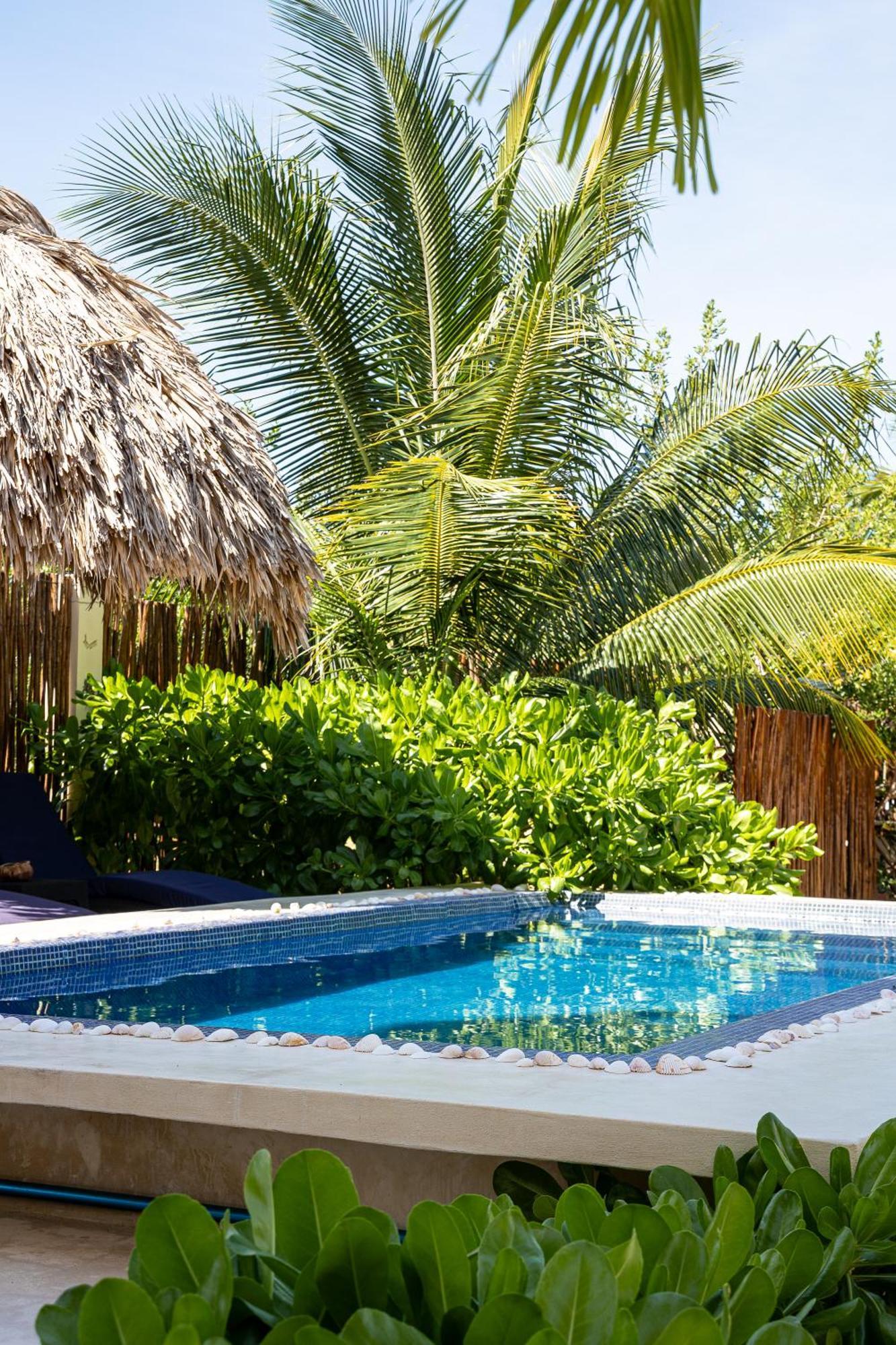 Atenea Holbox Bagian luar foto